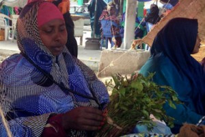 qat-trader-mogadishu-340_227