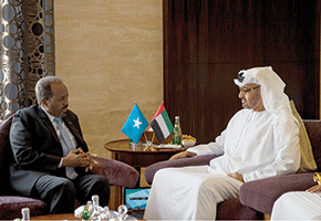 UAE, Somalia discuss ways to tackle stability