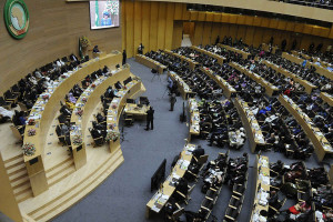 African Union anniversery summit